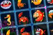Jeu Mémoire Créatures Marines