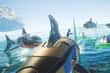 Jeu Shark Ships