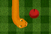 Snake 2021