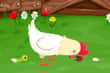 Jeu Stupid Chicken