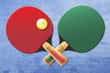 Jeu Table Tennis World Tour
