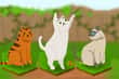 Jeu The Runaway Cats