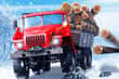 Jeu Truck Driver Snowy Roads