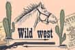 Jeu Memory Wild Wild West