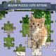 Jeu Puzzle Jigsaws: Adorables Chatons