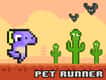 Jeu Course des Animaux: L