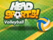 Jeu Volleyball Têtes de Champions
