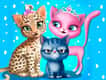 Jeu Salon de Toilettage pour Chats