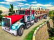 Jeu Simulateur de Transport de Fret: Chauffeur de Camion Euro 2019