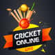 Jeu Cricket Challenge en Ligne: Affrontez vos Amis!