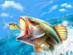 Jeu Baron de la Pêche: Aventure Halieutique