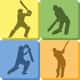 Jeu Quicket: Le Cricket Puzzle Addictif