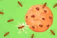 Jeu Ants vs Cookie