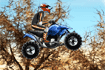 Jeu ATV Offroad Thunder