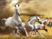 Jeu Puzzle Équestre - Course de Chevaux
