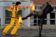 Jeu City Fighter vs Street Gang
