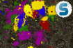 Jeu Color Carnage