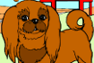 Jeu Coloriage Chien Lhassa Apso