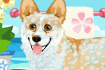 Jeu Toilettage de Corgi