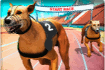 Jeu Crazy Dog Racing Fever