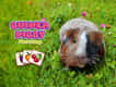 Jeu Cochon d