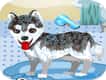 Jeu Mon Adorable Chien au Bain