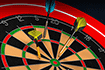 Jeu Darts Pro Multijoueur