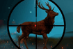 Jeu Deer Hunter Classical