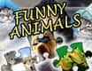 Jeu Puzzle Jigsaws Animaux Rigolos