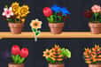 Jeu Good Flower Master