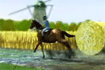 Jeu Horse Jumping 2