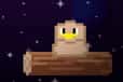 Jeu Infinite Bird