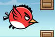 Jeu Infuriated Bird