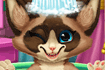 Jeu Toilettage de chaton