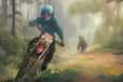 Jeu Moto Maniac 3