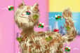 Jeu Clinique et Spa des Animaux