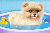Jeu Toilettage Chiot Pomeranian