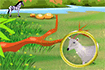 Jeu Safari recherche d