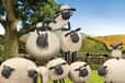 Jeu Shaun le mouton Rassemblement