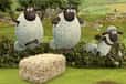 Jeu Shaun le mouton Course d