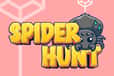Jeu Spider Hunt