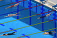 Jeu Swimming Pro