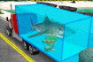 Jeu Transport Sea Animal
