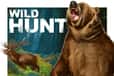 Jeu Wild Hunt