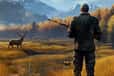 Jeu Wild Hunting Clash