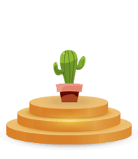 Cactus en pot