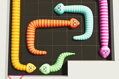 Jeu Casse-tête Serpent