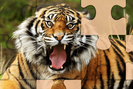 Jeu Tigres Puzzles