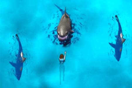 Jeu Avoid the Sharks