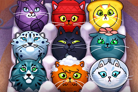 Jeu Cat Sorter Puzzle